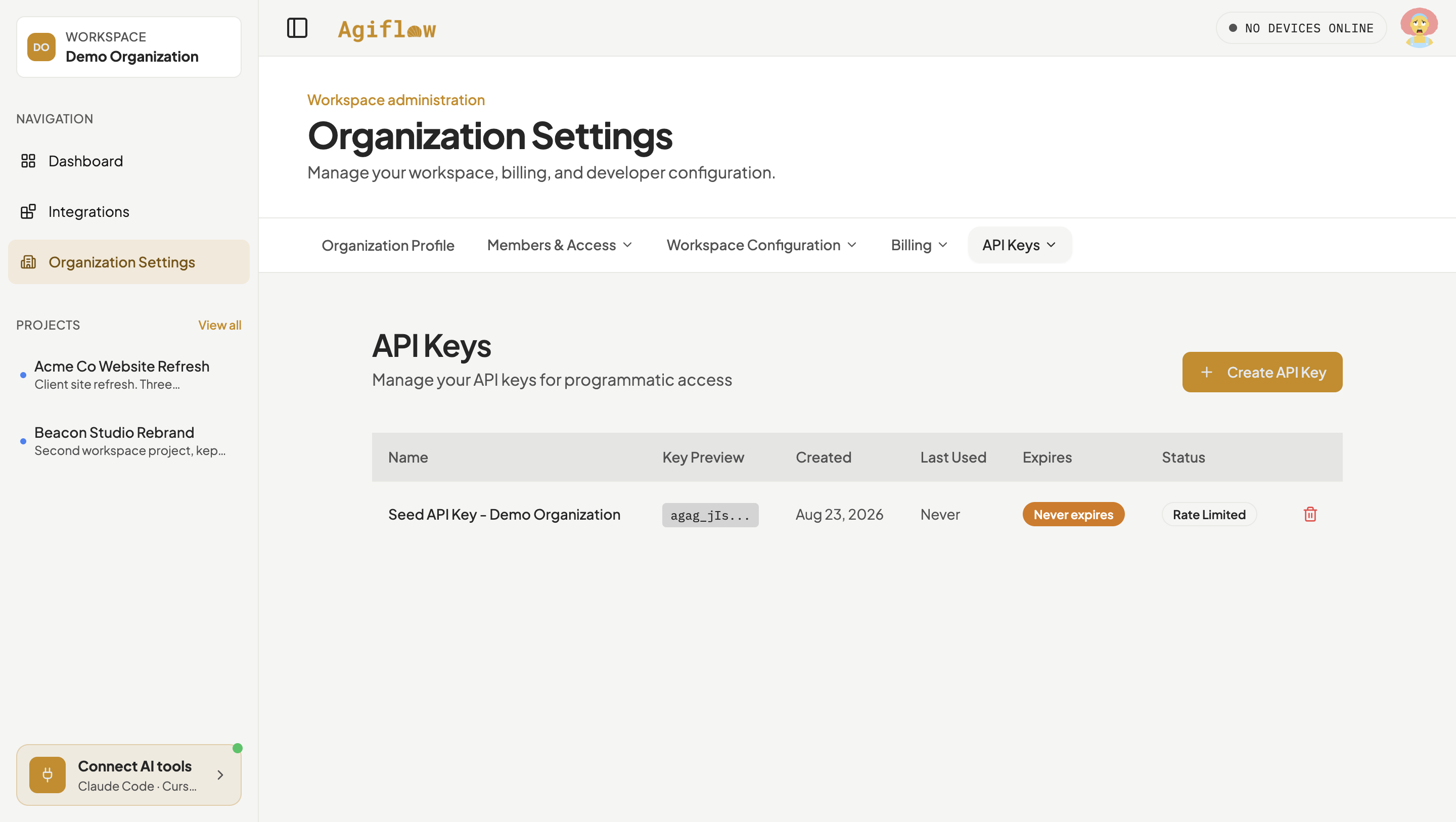 Organization Settings, API Keys tab, now listing only one key, Seed API Key - Demo Organization, after the second key was deleted.