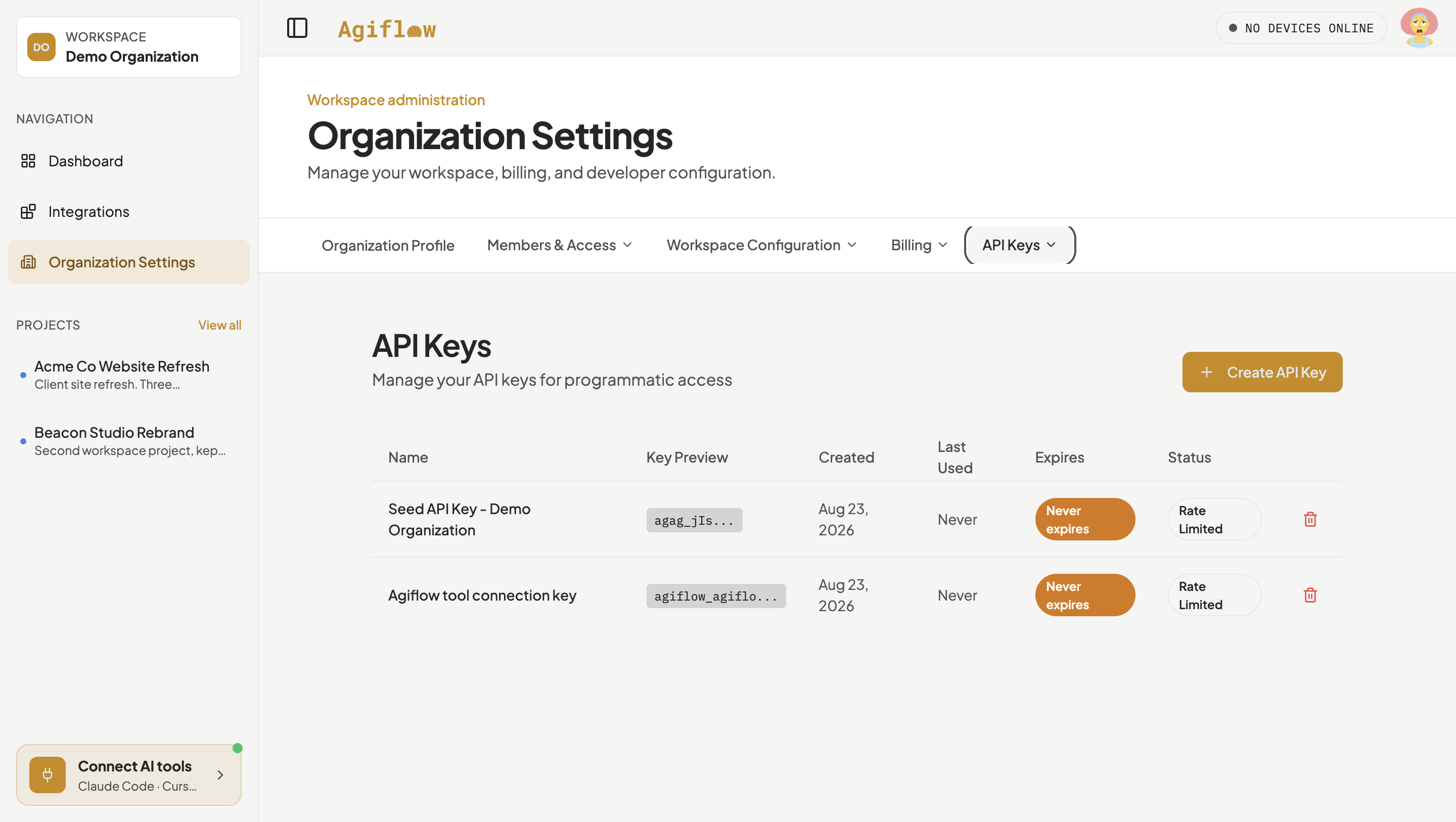 Organization Settings, API Keys tab, listing two API keys: Seed API Key - Demo Organization and Agiflow tool connection key, both marked Never expires.